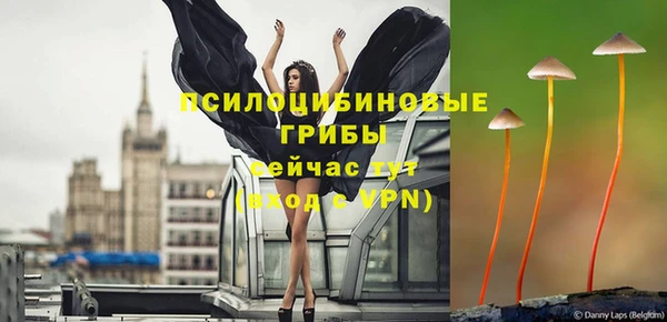 винт Лабытнанги