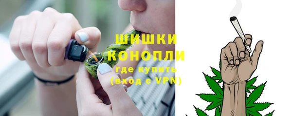 дживик Краснослободск