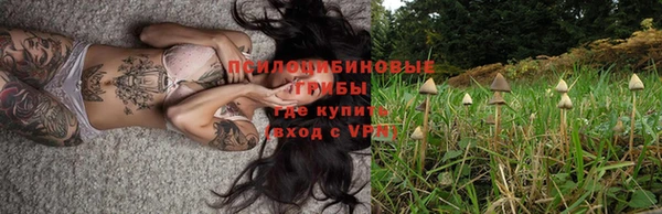 дживик Краснослободск