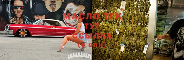 винт Лабытнанги