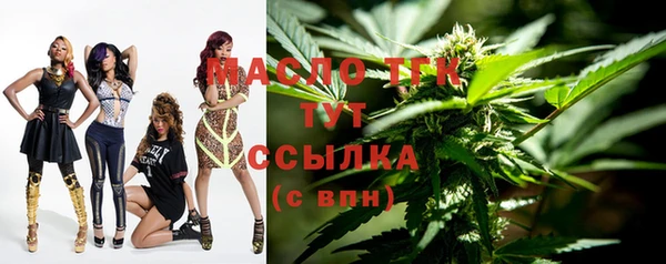 дживик Краснослободск
